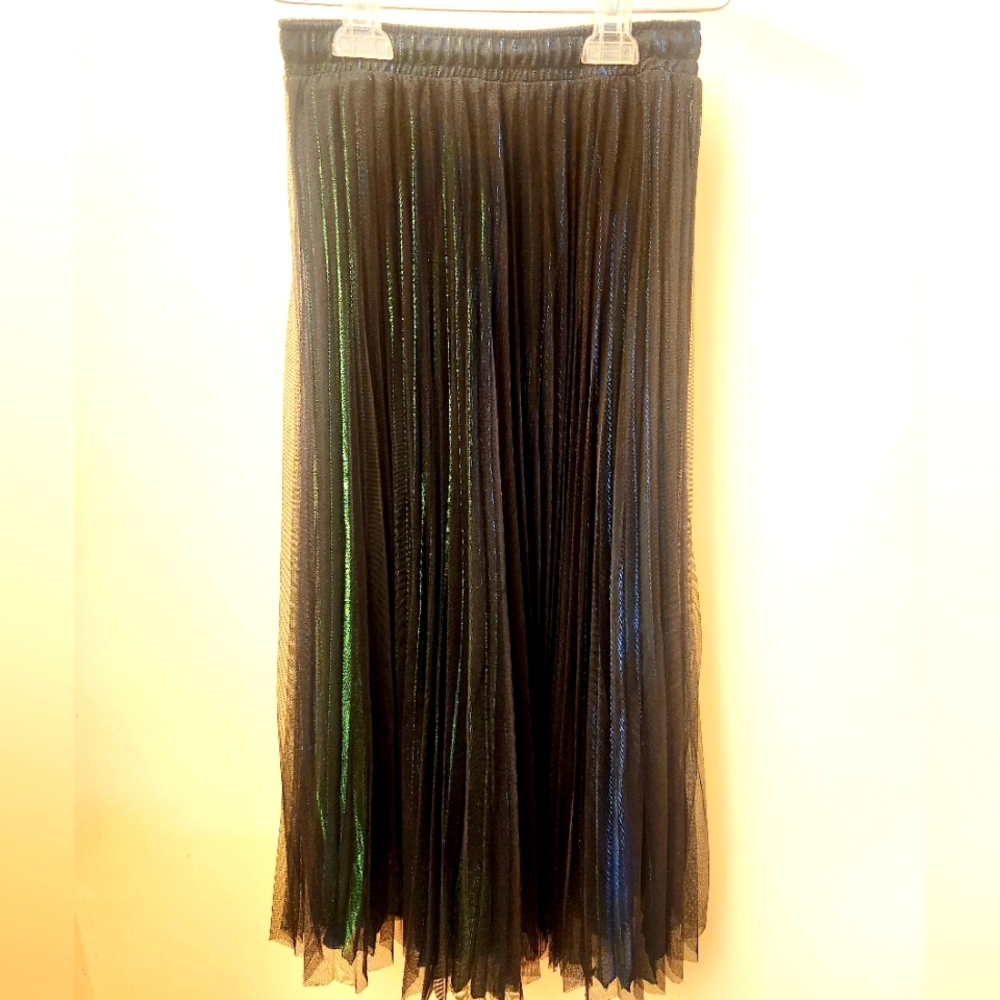 Shimmery Pleated Skirt
